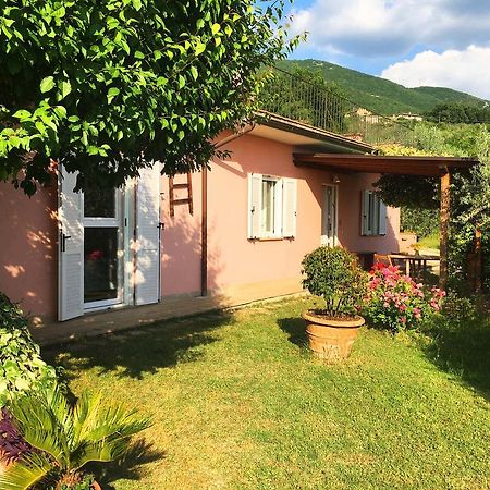 Assisi Villa Randr San Vitale Ngoại thất bức ảnh