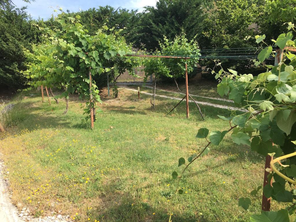 Assisi Villa Randr San Vitale Ngoại thất bức ảnh
